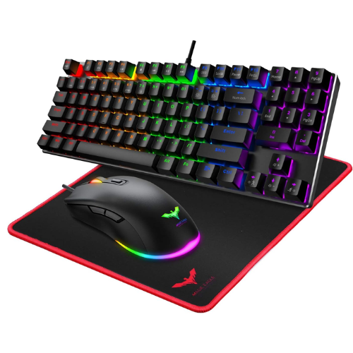HAVIT KEYBOARD AND MOUSE